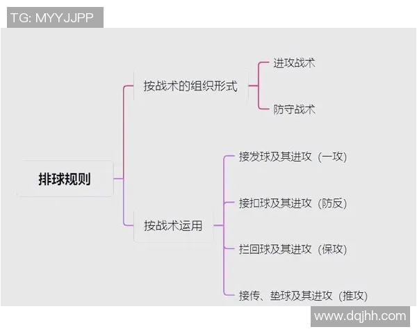 西安排球队节奏的奥秘与排球战术深度解析